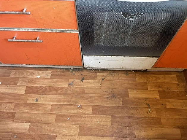 Фото до